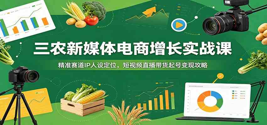 三农新媒体电商增长实战课：精准赛道IP人设定位，短视频直播带货起号变现攻略-点子口袋网