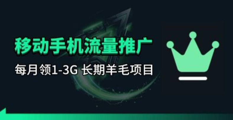 手机流量领取推广_每月一轮，刚需类的长期项目-点子口袋网