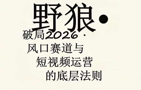 野狼团队·多平台实操运营课(更新4月)-点子口袋网