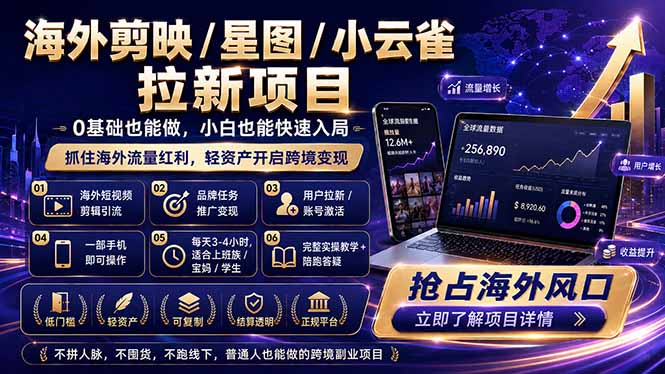 海外剪映 / 星图 / 小云雀拉新项目 普通人也能上手的跨境流量变现副业-点子口袋网