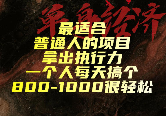 最适合普通人的项目，拿出执行力一个人每天搞个800-1k很轻松【揭秘】-点子口袋网