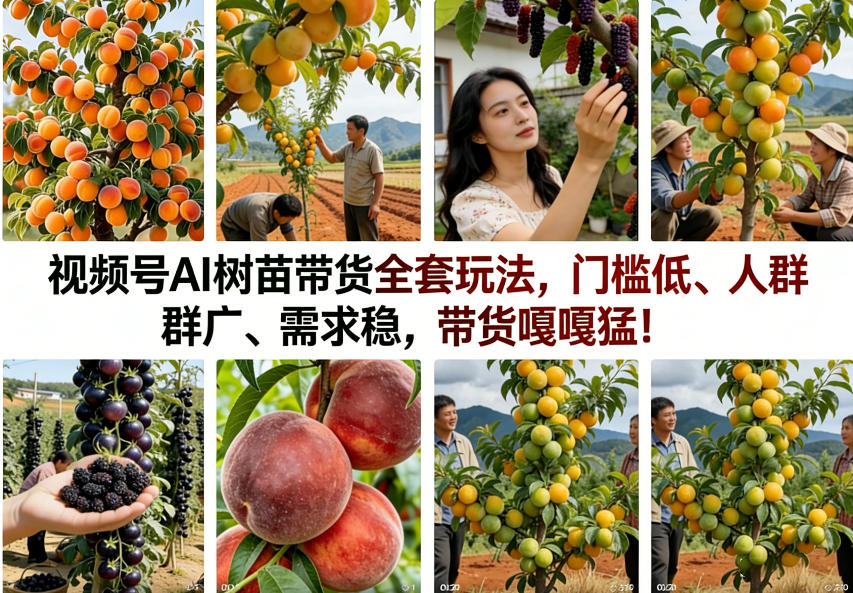 视频号AI树苗带货全套玩法，门槛低、人群广、需求稳，带货嘎嘎猛！(更新0322)-点子口袋网