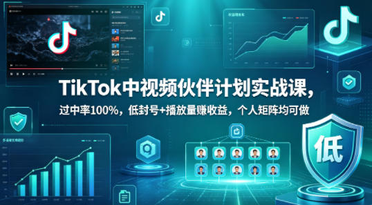 TikTok中视频伙伴计划实战课，过中率100%，低封号+播放量賺收益，个人矩阵均可做-点子口袋网