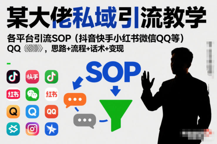 某大佬私域引流教学，各平台引流SOP（抖音快手小红书微信QQ等），思路+流程+话术+变现（更新0708）-点子口袋网