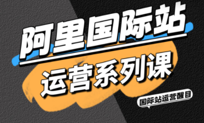 醒目老师·阿里国际站运营系列课(更新3月)-点子口袋网