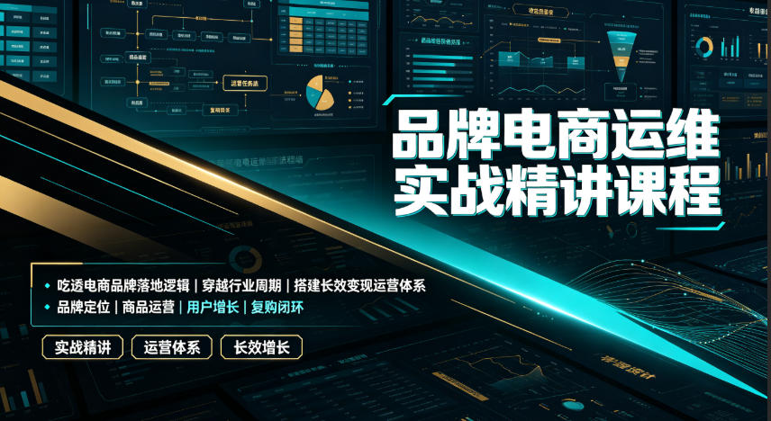 品牌电商运维实战精讲课程｜吃透电商品牌落地逻辑、穿越行业周期、搭建长效变现运营体系-点子口袋网