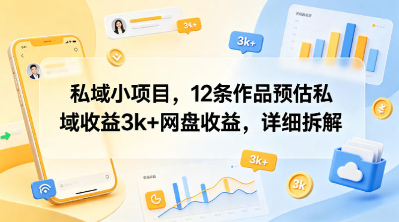 私域小项目，12条作品预估私域收益3k+网盘收益，详细拆解-点子口袋网