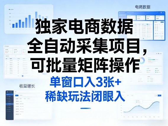独家电商数据全自动采集项目，可批量矩阵操作，单窗口日入3张+，稀缺玩法闭眼入【揭秘】-点子口袋网