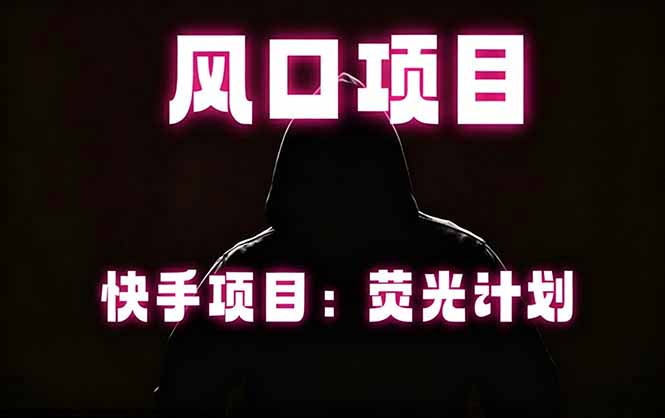 快手风口项目，荧光计划托管，长期稳定，适合批量做-点子口袋网