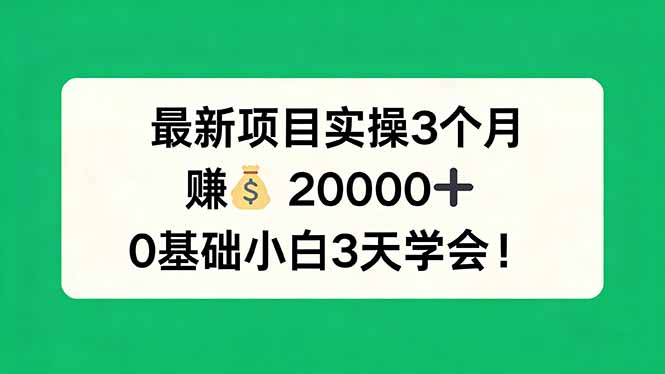 最新项目实操3个月，赚钱20000+，0基础小白3天学会！-点子口袋网