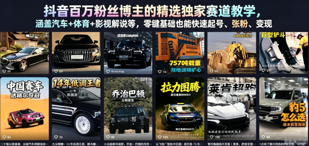 抖音百万粉丝博主的精选独家赛道教学，涵盖汽车+体育+影视解说等，零基础也能快速起号、涨粉、变现（更新0701）-点子口袋网