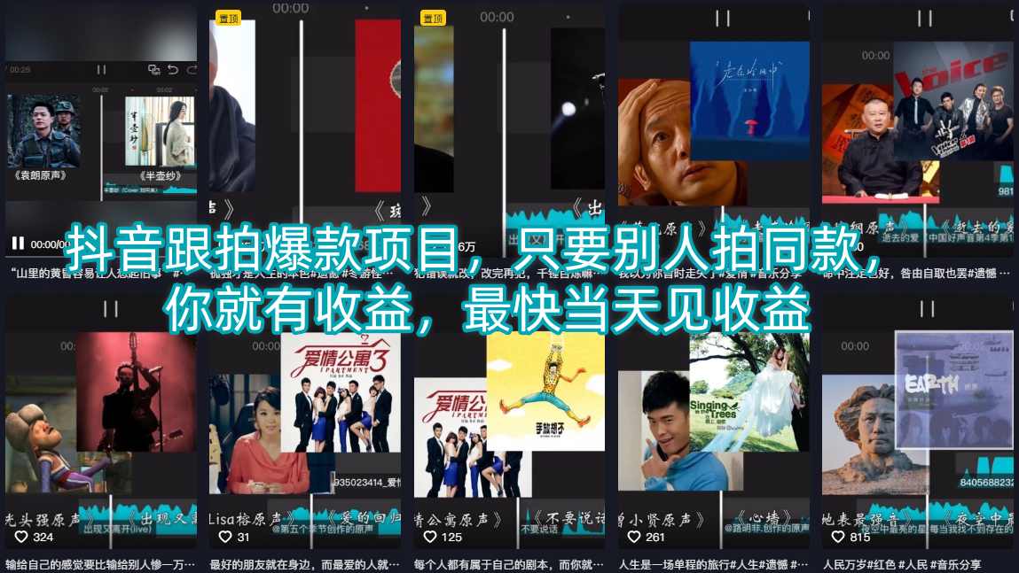 抖音跟拍爆款项目，只要别人拍同款，你就有收益，最快当天见收益-点子口袋网