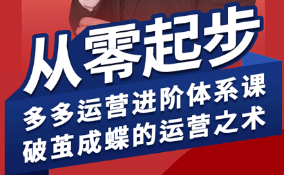 海神·拼多多运营进阶系统课(更新2026)-点子口袋网