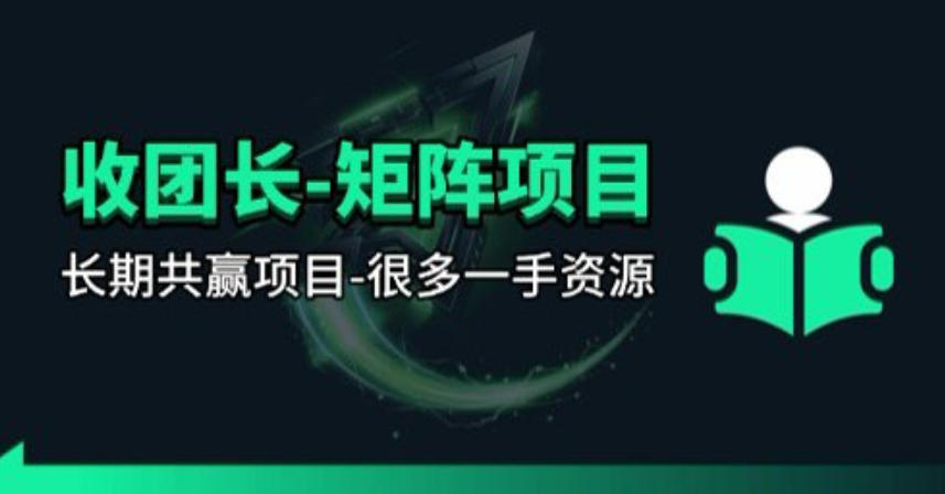 【团长合作】视频矩阵项目_招发手矩阵+剪辑师，共赢项目【揭秘】-点子口袋网
