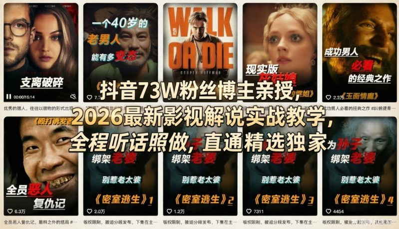 抖音73W粉丝博主亲授，2026最新影视解说实战教学，全程听话照做，直通精选独家-点子口袋网