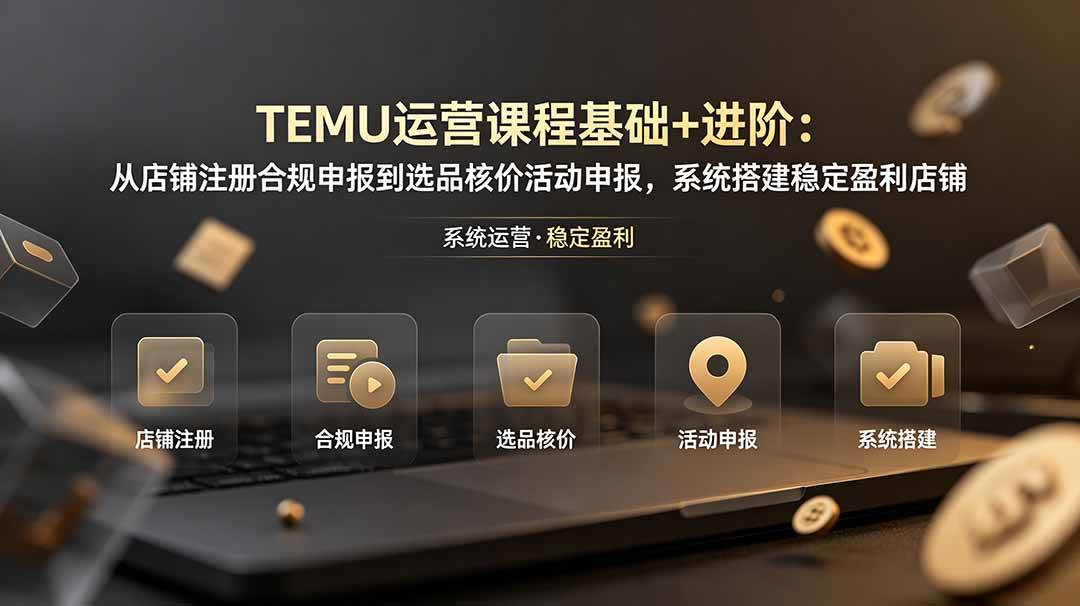 （19081期）TEMU运营课程（基础+进阶）：从店铺注册合规申报到选品核价活动申报，系统搭建稳定盈利店铺-点子口袋网