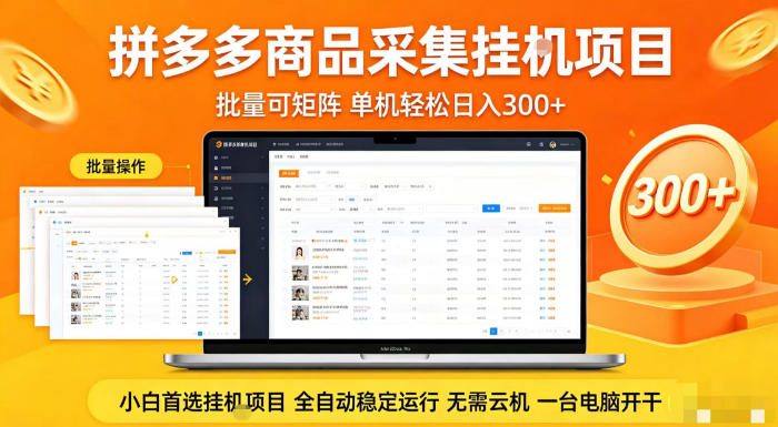 拼多多商品信息全自动采集项目，批量可矩阵，单机轻松日入300+，无需云机一台电脑开干【揭秘】-点子口袋网