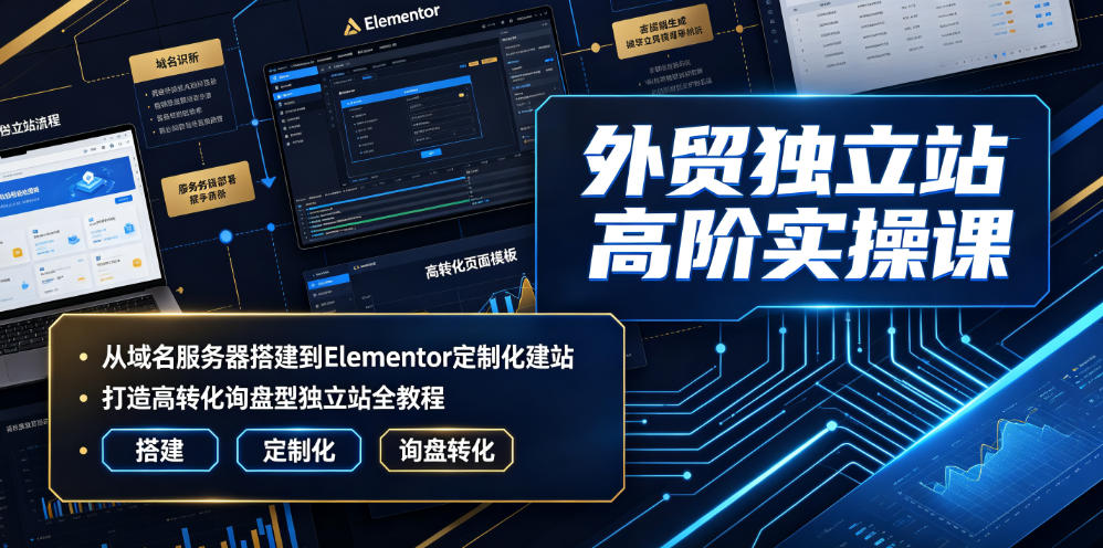 外贸独立站高阶实操课｜从域名服务器搭建到Elementor定制化建站，打造高转化询盘型独立站全教程-点子口袋网