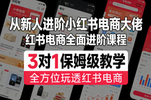 从新人进阶小红书电商大佬，红书电商全面进阶课程，3对1保姆级教学，全方位玩透红书电商-点子口袋网