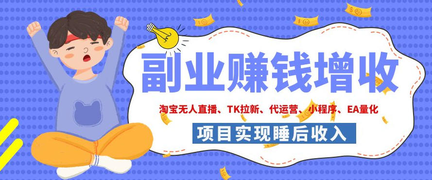 2026年多个真实落地副业项目，手把手带你搭建被动收入管道（淘宝无人直播、海外TK拉新、CSGO饰品交易、去水印小程序等）【揭秘】-点子口袋网