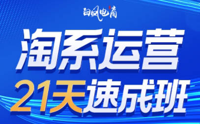 白凤电商·淘系运营21天速成班(更新3月)-点子口袋网