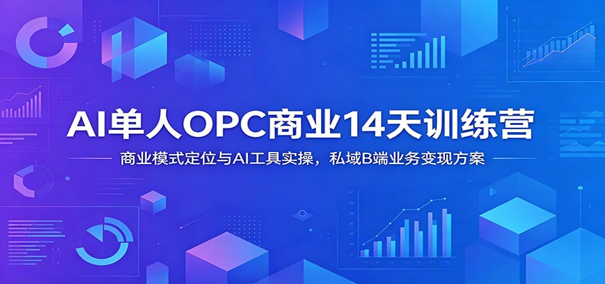 AI单人OPC商业14天训练营：商业模式定位与AI工具实操，私域B端业务变现方案-点子口袋网