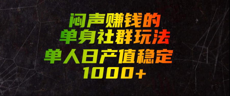 闷声賺钱的单身社群玩法，单人日产值稳定1000+【揭秘】-点子口袋网