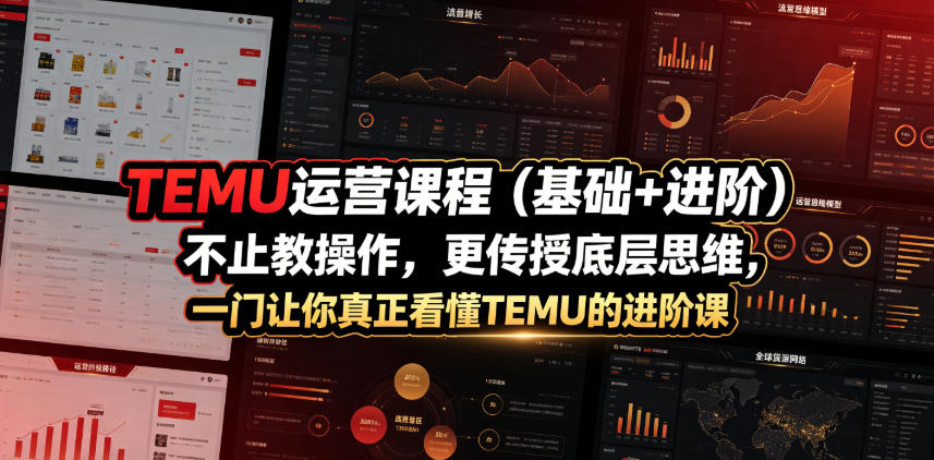 TEMU运营课程（基础+进阶），不止教操作，更传授底层思维，一门让你真正看懂TEMU的进阶课-点子口袋网