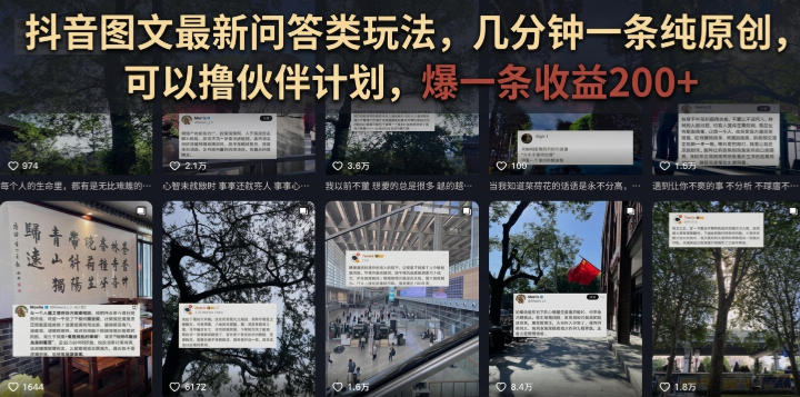 抖音图文最新问答类玩法，几分钟一条纯原创，可以撸伙伴计划，爆一条收益200+-点子口袋网