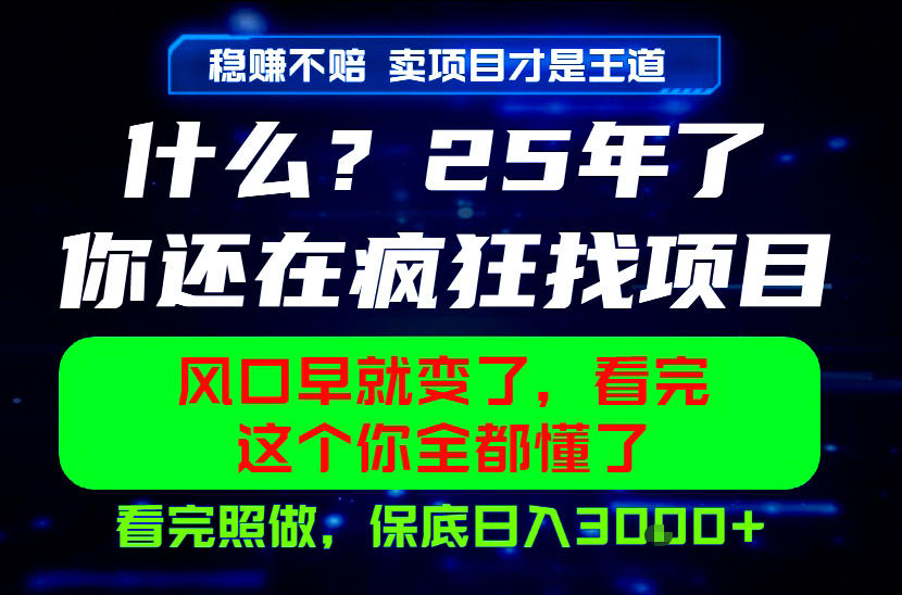 26年，请不要疯狂的找项目做了！卖项目才是真的稳賺不赔，看完照做，保底日入1k+【揭秘】-点子口袋网