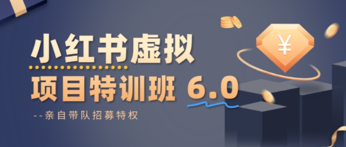 小红书虚拟项目特训课8.0，帮你从0到1打造稳定盈利的店铺，抓住流量红利(更新3月)-点子口袋网