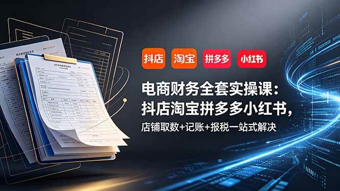（19001期）电商财务全套实操课：抖店淘宝拼多多小红书，店铺取数+记账+报税一站式解决-点子口袋网