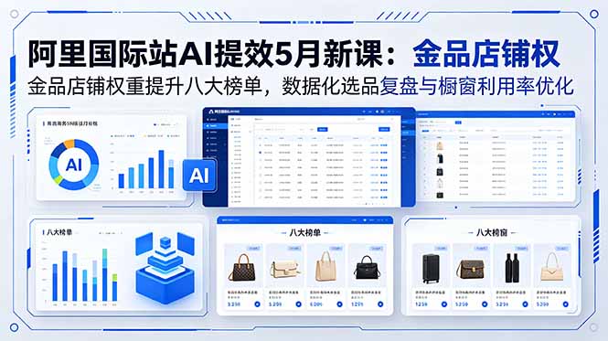 阿里国际站AI提效5月新课：金品店铺权重提升八大榜单，数据化选品复盘与橱窗利用率优化-点子口袋网