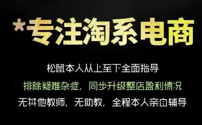 松鼠会电商VIP课程，从基础布局到高阶优化，助你掌握淘宝运营逻辑，提升店铺流量与转化-点子口袋网