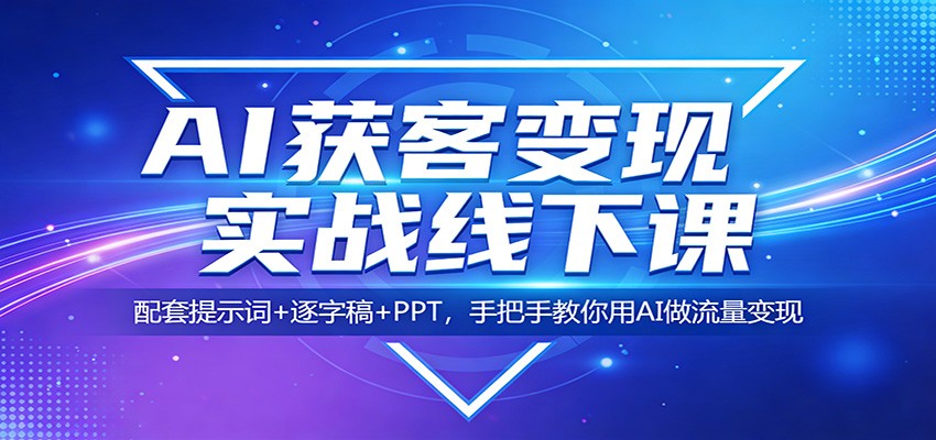 AI获客变现实战线下课：配套提示词+逐字稿+PPT，手把手教你用AI做流量变现-点子口袋网