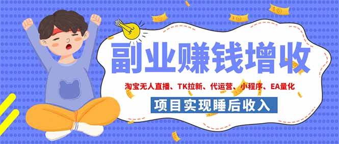 （19654期）2026年多个真实落地副业项目，手把手带你搭建被动收入管道（淘宝无人直播、海外TK拉新…-点子口袋网