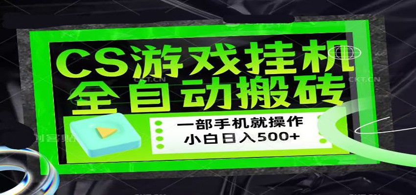 CSGO游戏挂机捡漏搬砖，超稳定的项目，带领1000+小白实现日入500+-点子口袋网