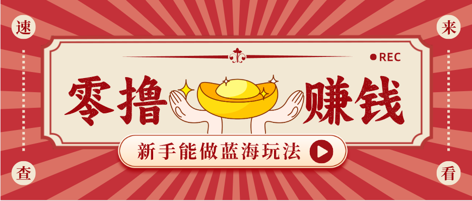 新手也能变现的蓝海玩法，一个人人能做的项目，需求量极大日入300+！-点子口袋网