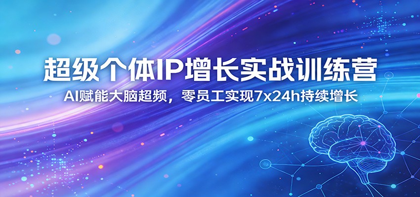 超级个体IP增长实战训练营：AI赋能大脑超频，零员工实现7x24h持续增长(更新)-点子口袋网