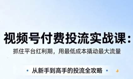 渔财老师·视频号付费投流实战课(更新5月)-点子口袋网