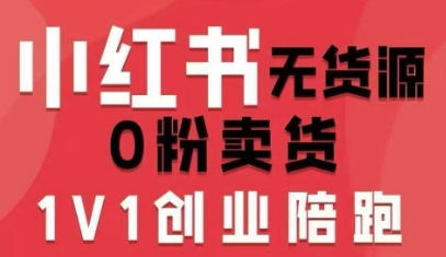 小红书无货源0粉电商课，开店准备、选品策略、笔记撰写、视频剪辑、数据分析、账号打造、资料文档（更新26年7月24日）-点子口袋网