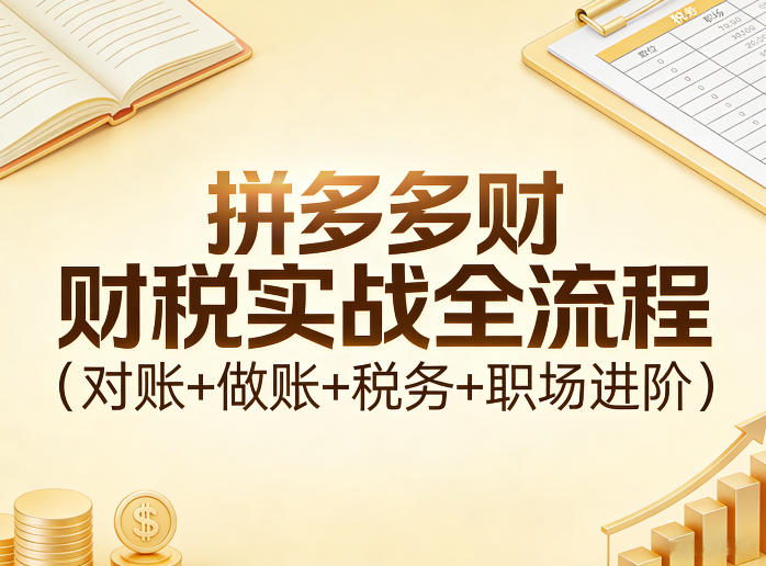 拼多多财税实战全流程(对账+做账+税务+职场进阶)-点子口袋网
