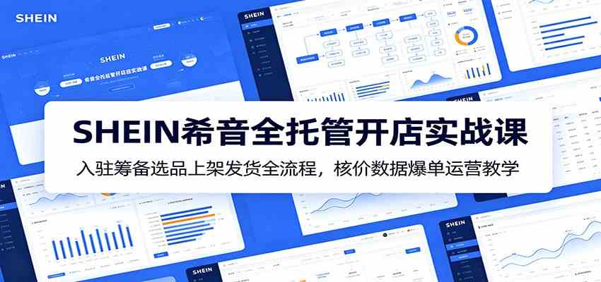 SHEIN希音全托管开店实战课：入驻筹备选品上架发货全流程，核价数据爆单运营教学-点子口袋网
