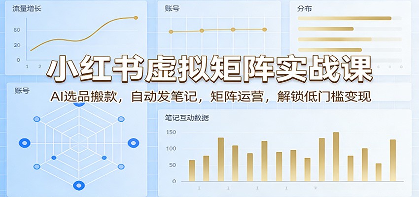 小红书虚拟矩阵实战课：AI选品搬款，自动发笔记，矩阵运营，解锁低门槛变现-点子口袋网