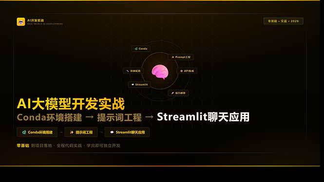 AI大模型开发实战：Conda环境搭建→提示词工程→Streamlit聊天应用，零基础到项目落地-点子口袋网