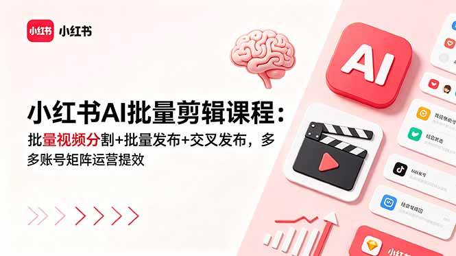 （18959期）小红书AI批量剪辑课程：批量视频分割+批量发布+交叉发布，多账号矩阵运营提效-点子口袋网