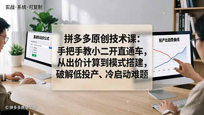 拼多多原创技术课：手把手教小二开直通车，从出价计算到模式搭建，破解低投产、冷启动难题-点子口袋网