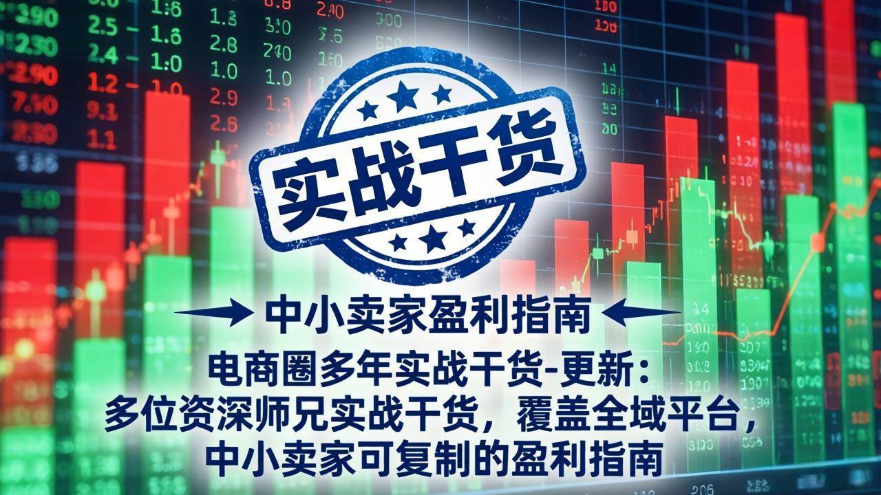 （19447期）电商圈多年实战干货-更新2026：多位资深师兄实战干货/覆盖全域平台，中小卖家可复制的盈利指南-点子口袋网