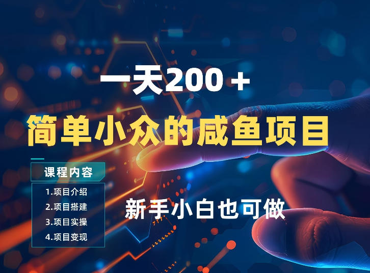 一天收入2张，一个简单小众的咸鱼项目，0门槛小白也能做-点子口袋网