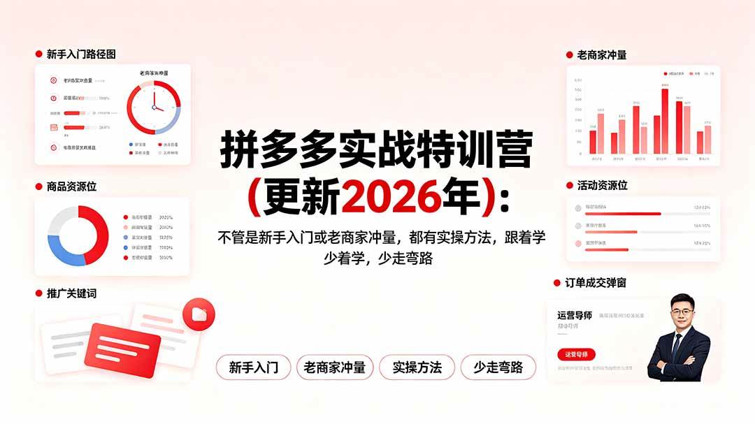 （19291期）拼多多实战特训营(更新2026年)：不管是新手入门或老商家冲量，都有实操方法，跟着学，少走弯路-点子口袋网